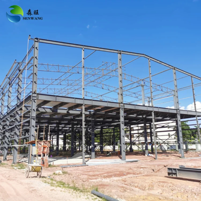 Steel Structure Warehouse with Angle Bracing 50x50mm Galvanized Frame