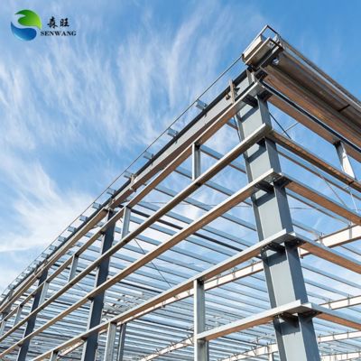 Multi-Functional Steel Structure Warehouse with Q235B Q345B Grade Steel and Earthquake Against 7~9 Grade